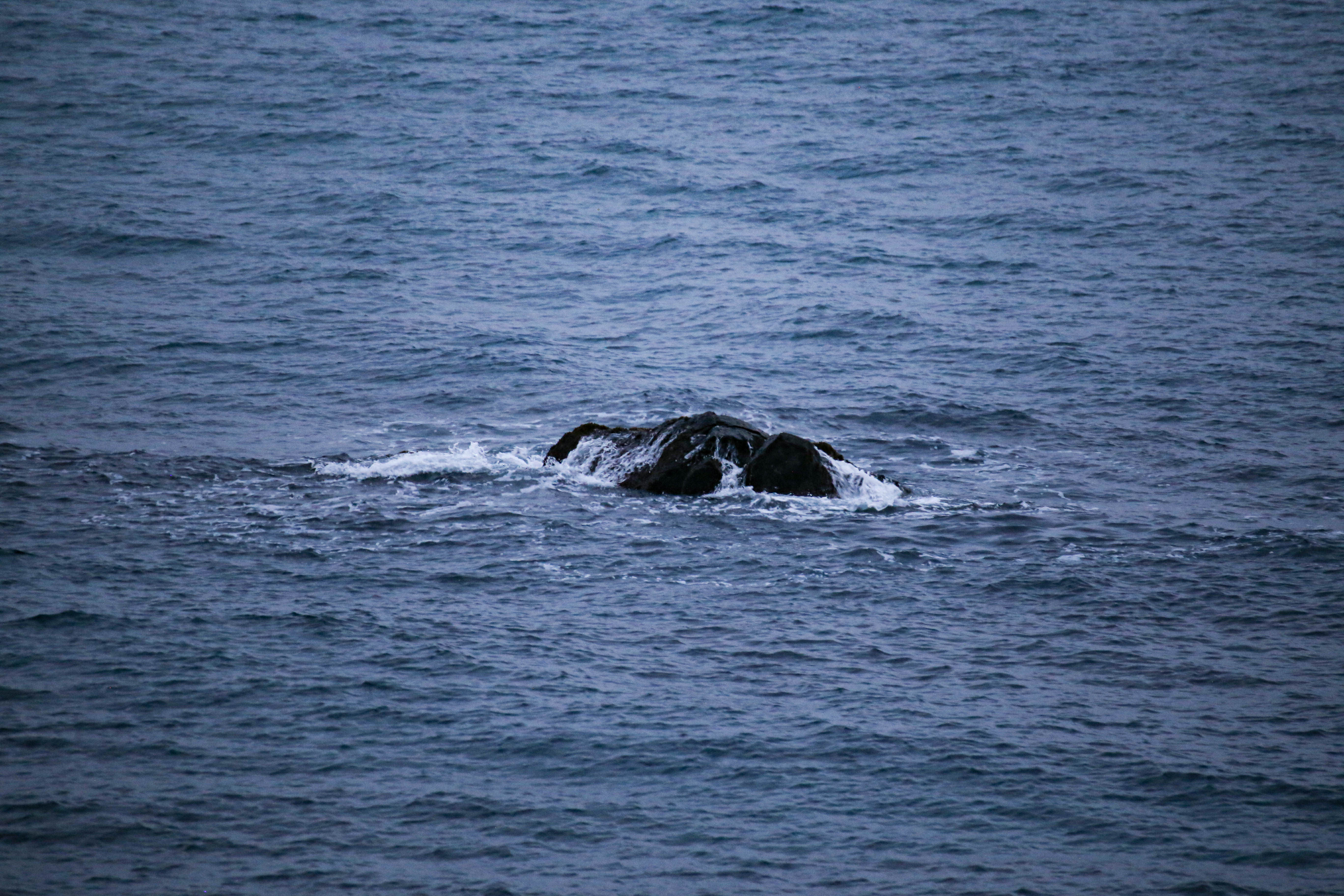 바다 - IMG_0214.jpg