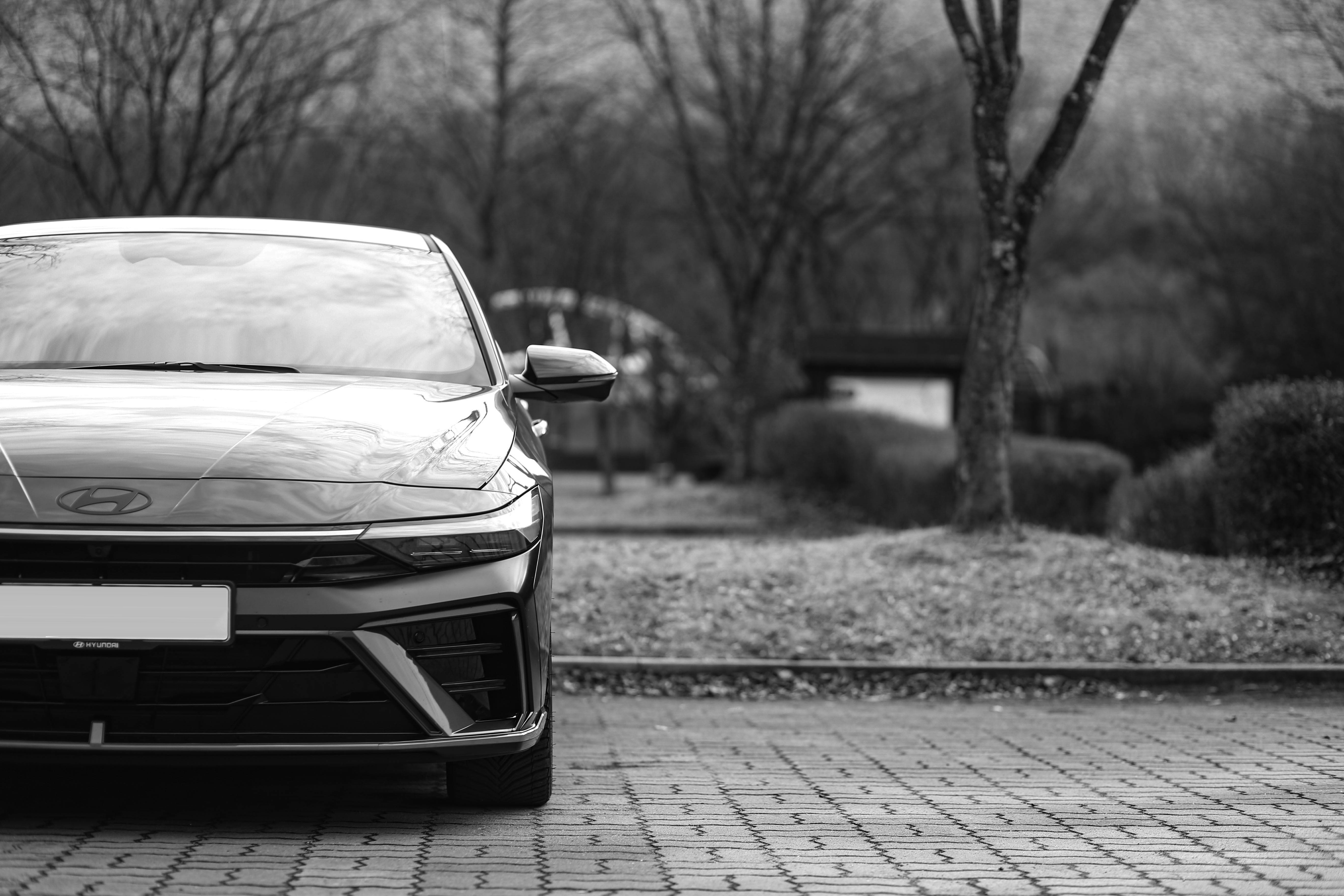 아반떼N - IMG_0154 copy.jpg