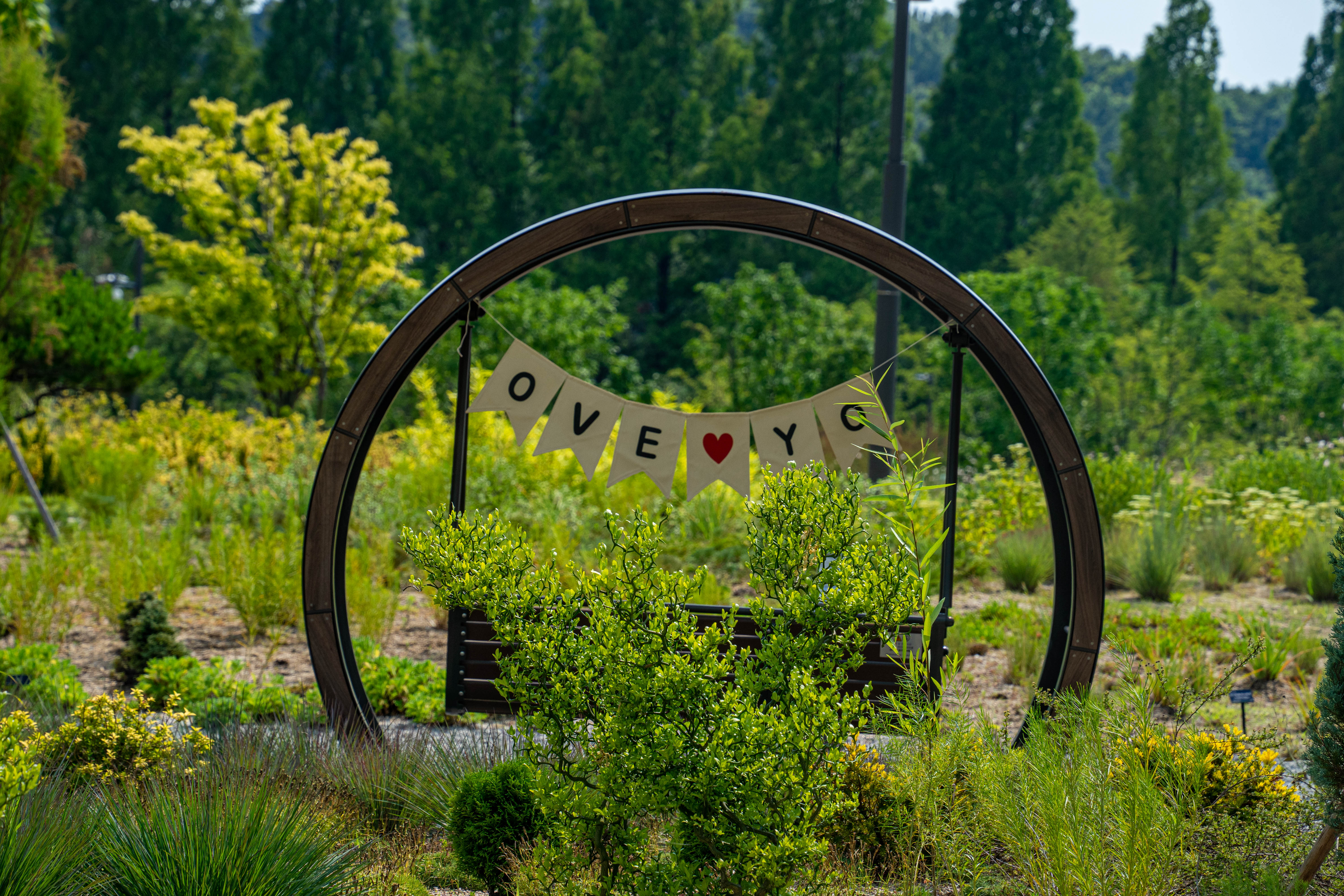 일월수목원 - DSC00409.jpg